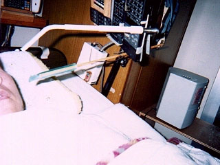 マウススティック写真