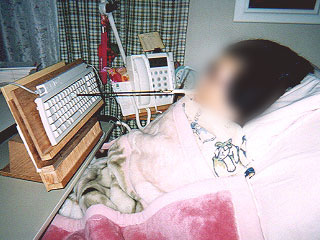 マウススティック写真１